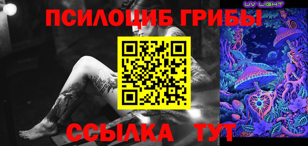 дарнет шоп  Псилоцибиновые грибы Psilocybe  Галлюциногенные грибы Magic Shrooms  Вход с VPN  Новосибирск 