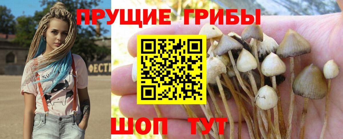 Псилоцибиновые грибы ЛСД Новосибирск